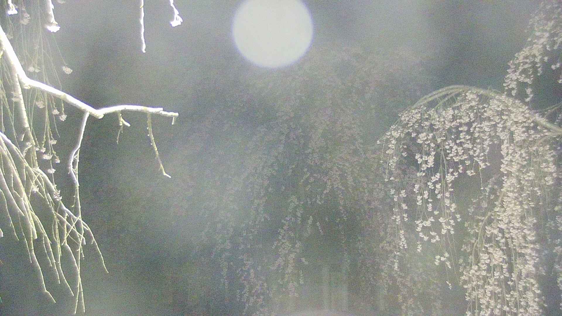 area2-20250423040105.jpg