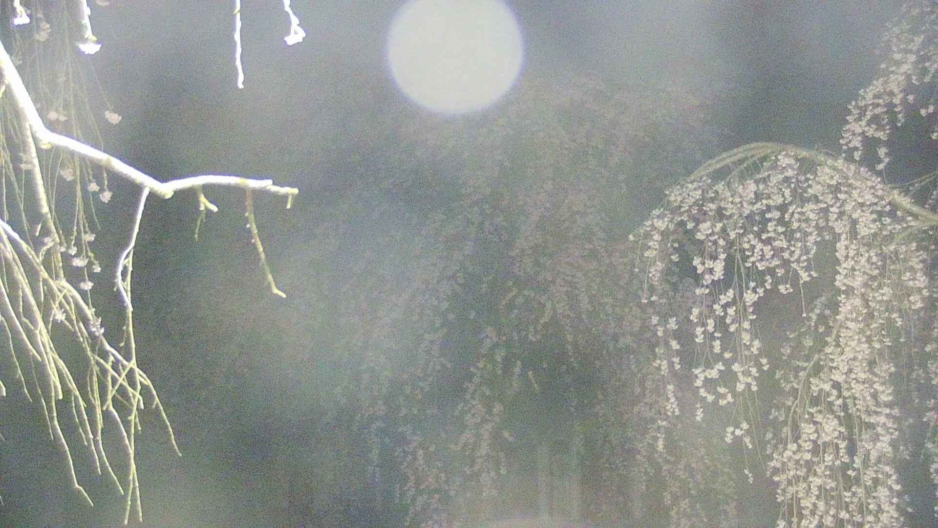 area2-20250423041108.jpg