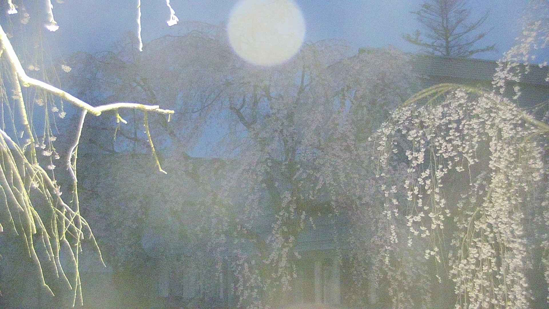 area2-20250423042106.jpg