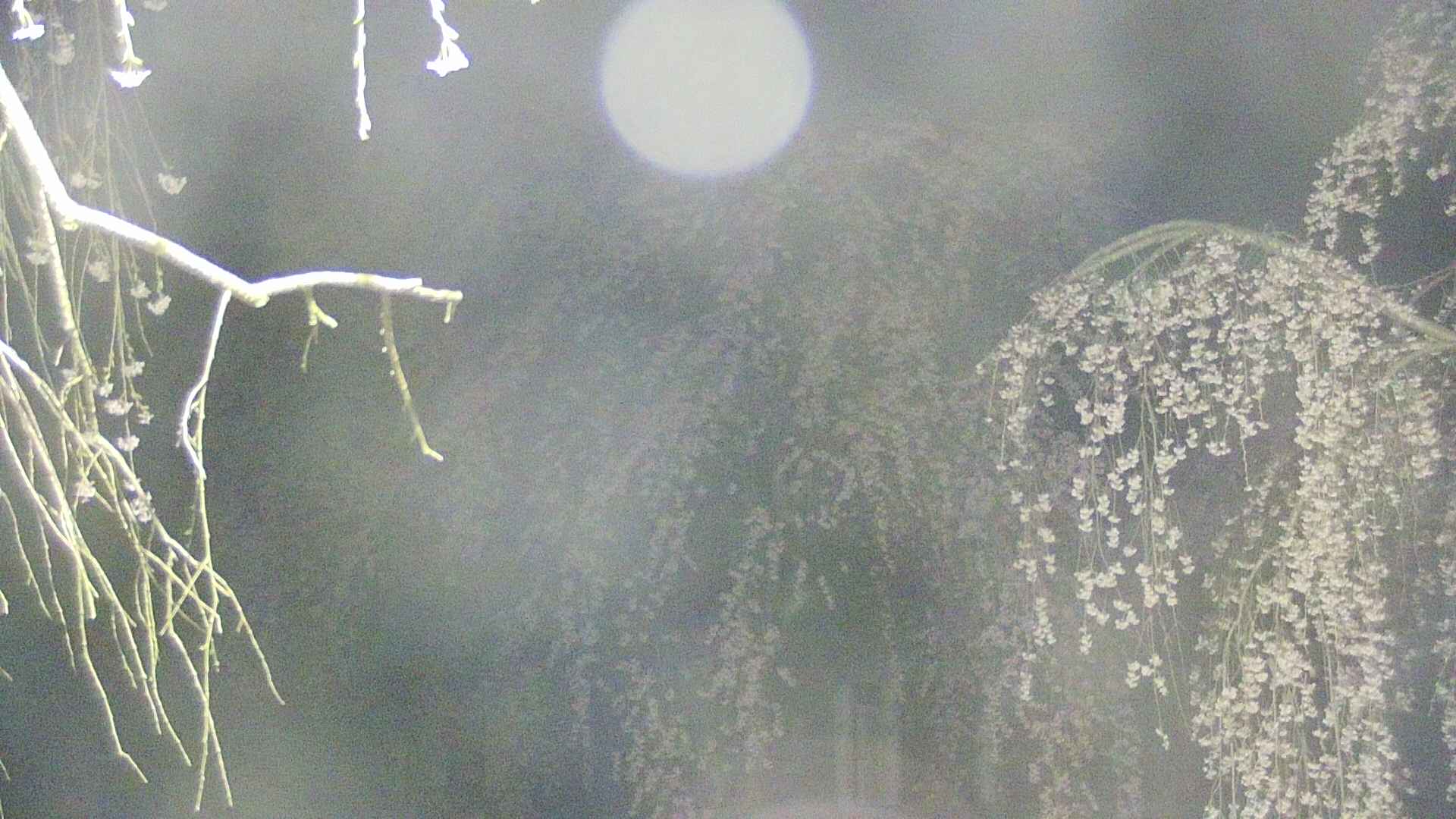 area2-20250424022106.jpg