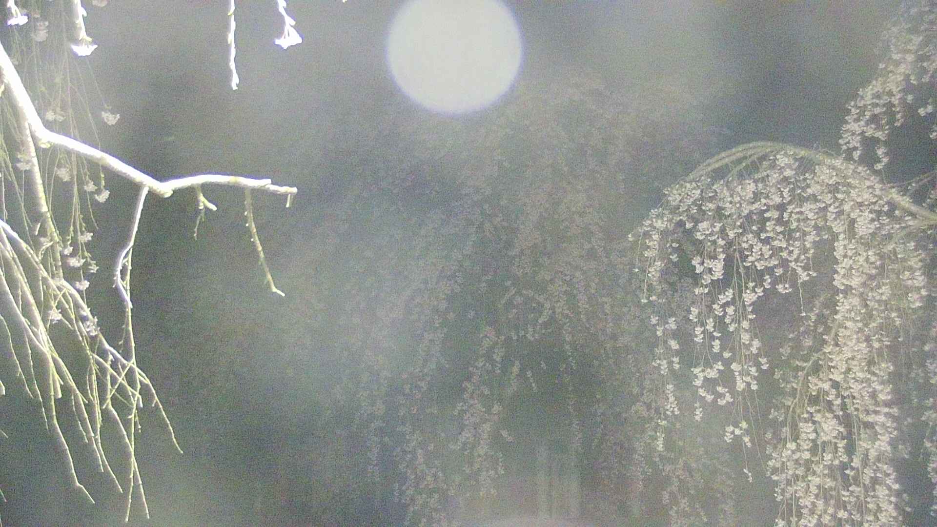 area2-20250424024106.jpg