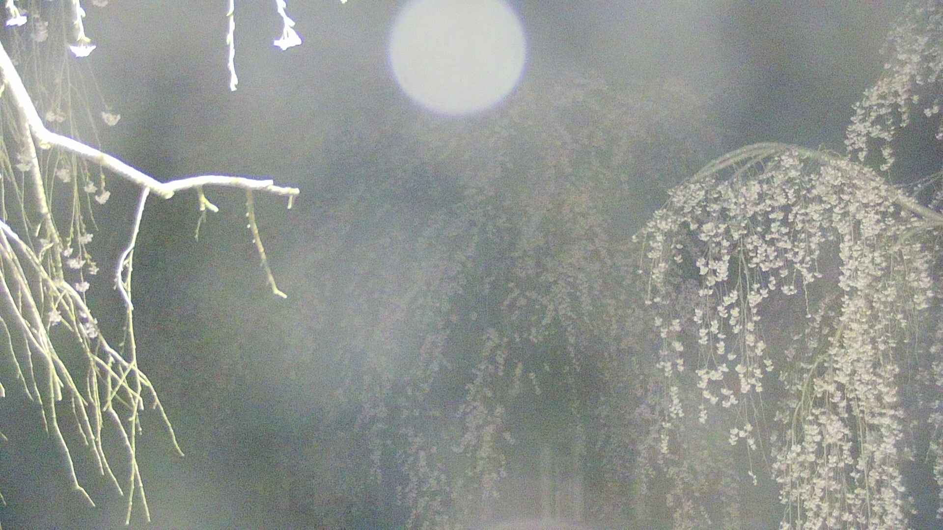 area2-20250424025107.jpg