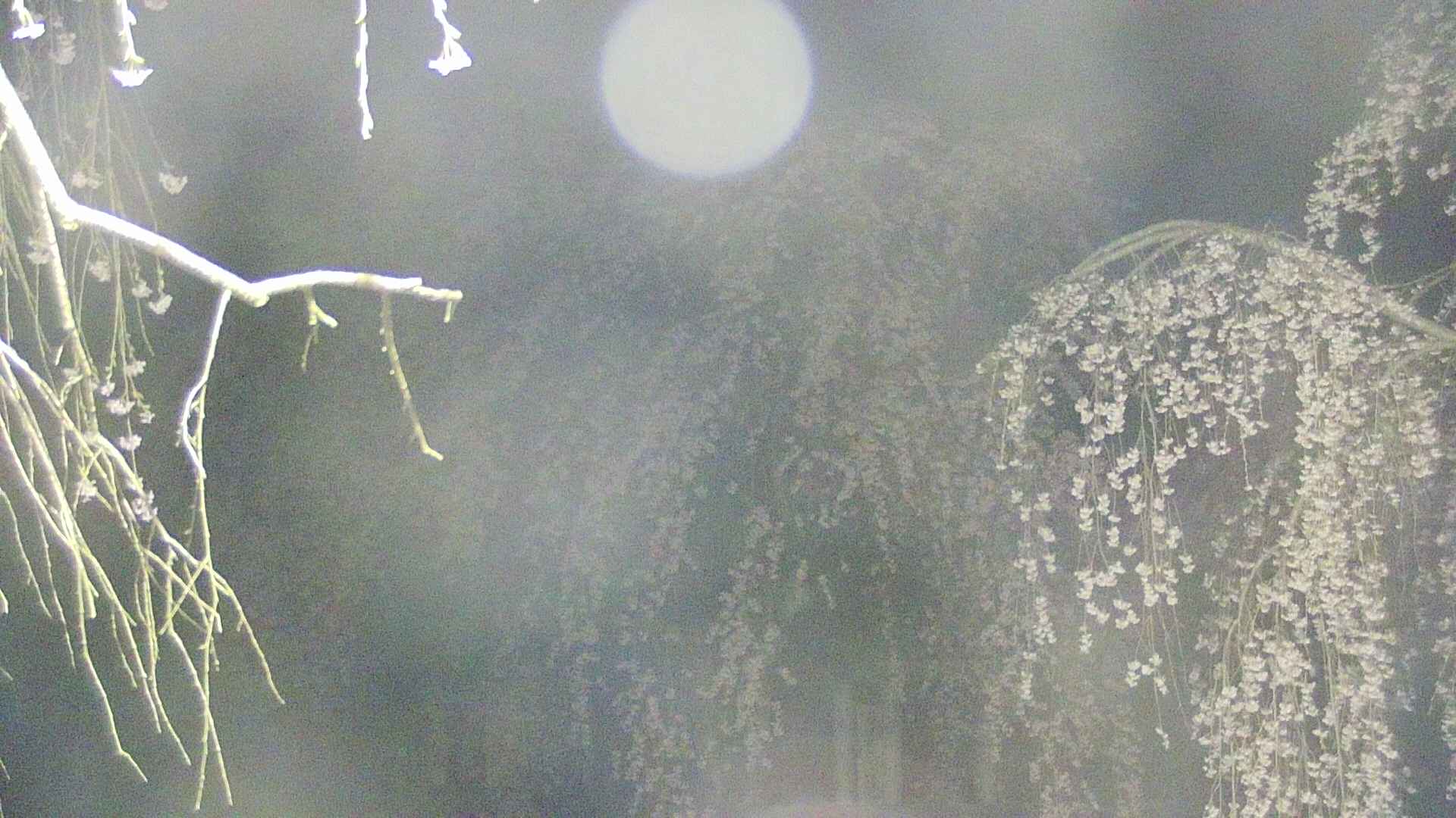 area2-20250424030107.jpg