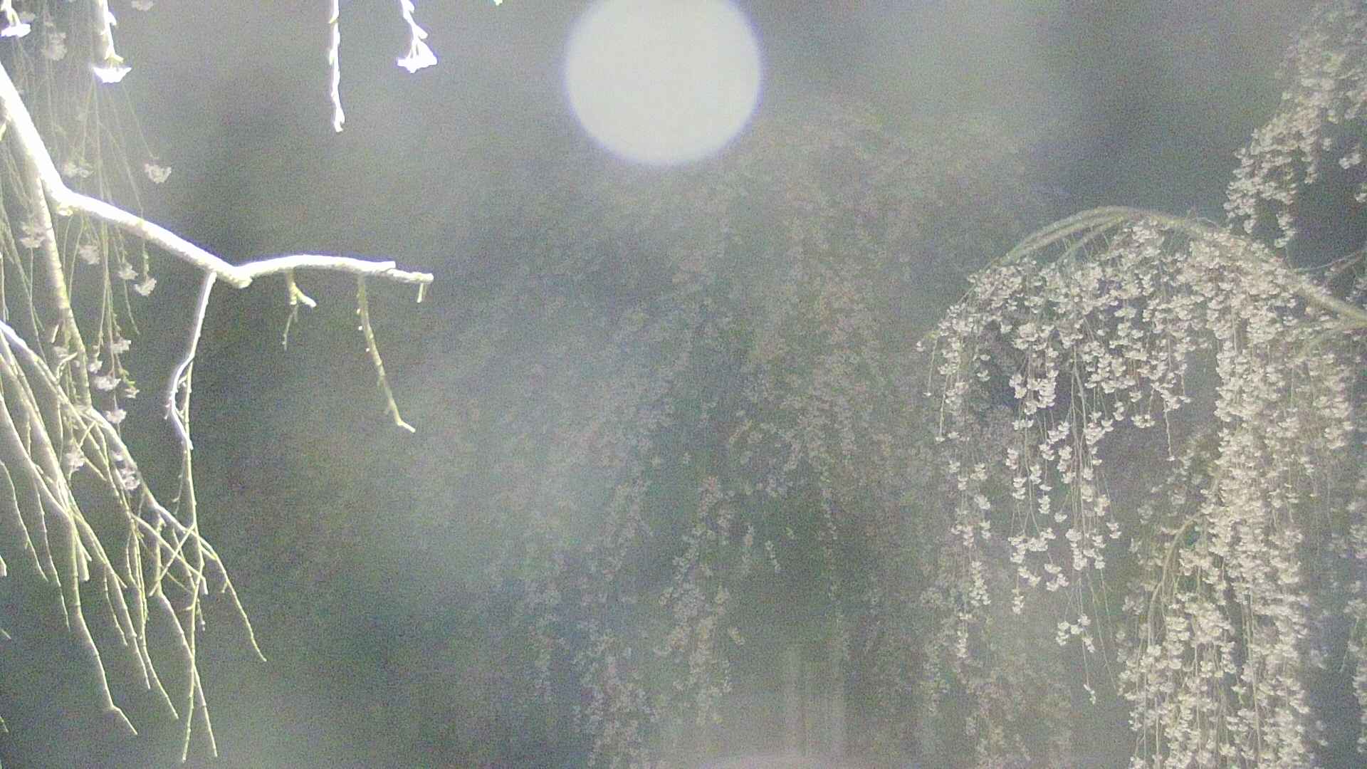 area2-20250424032104.jpg
