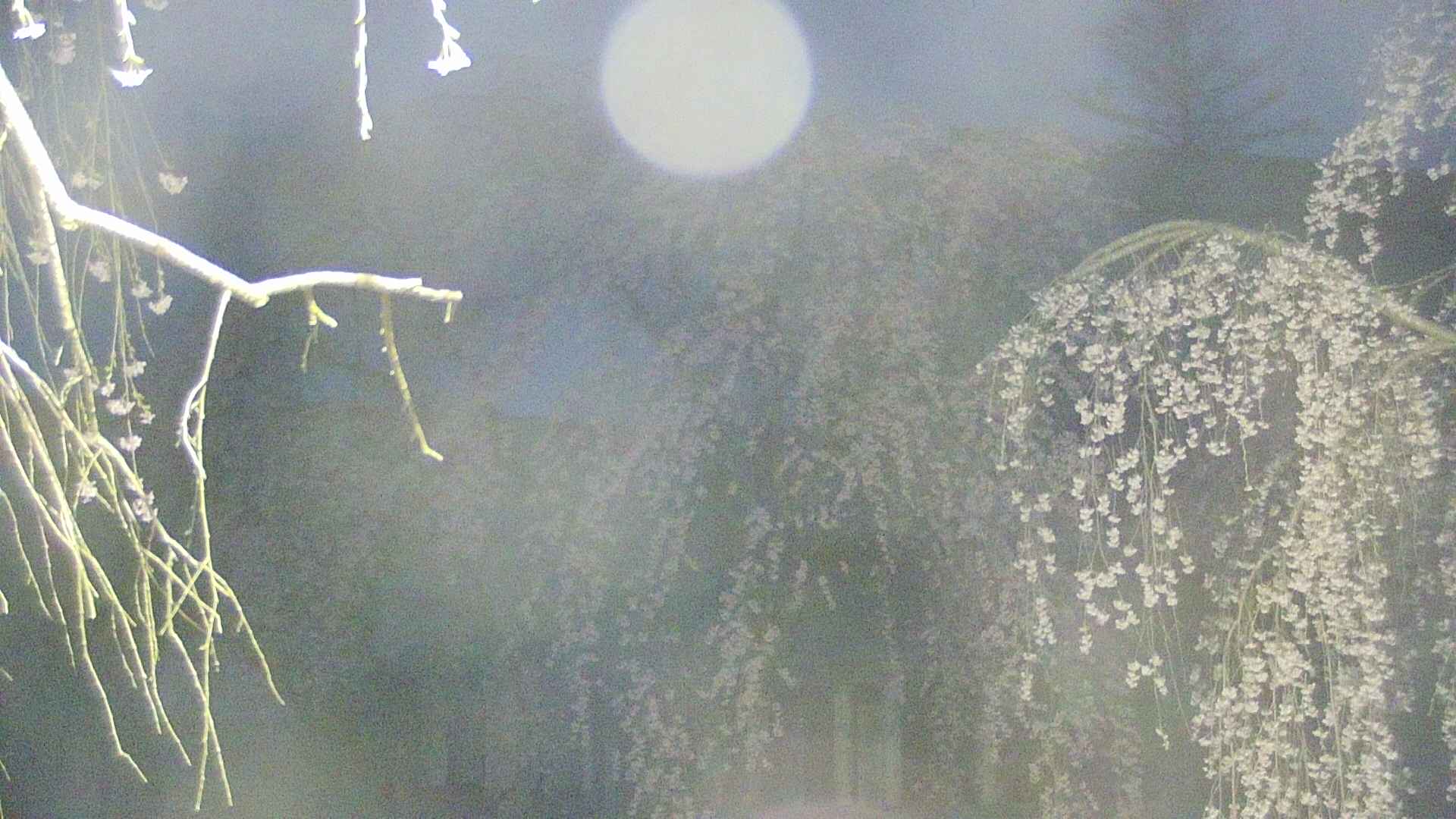 area2-20250424041105.jpg