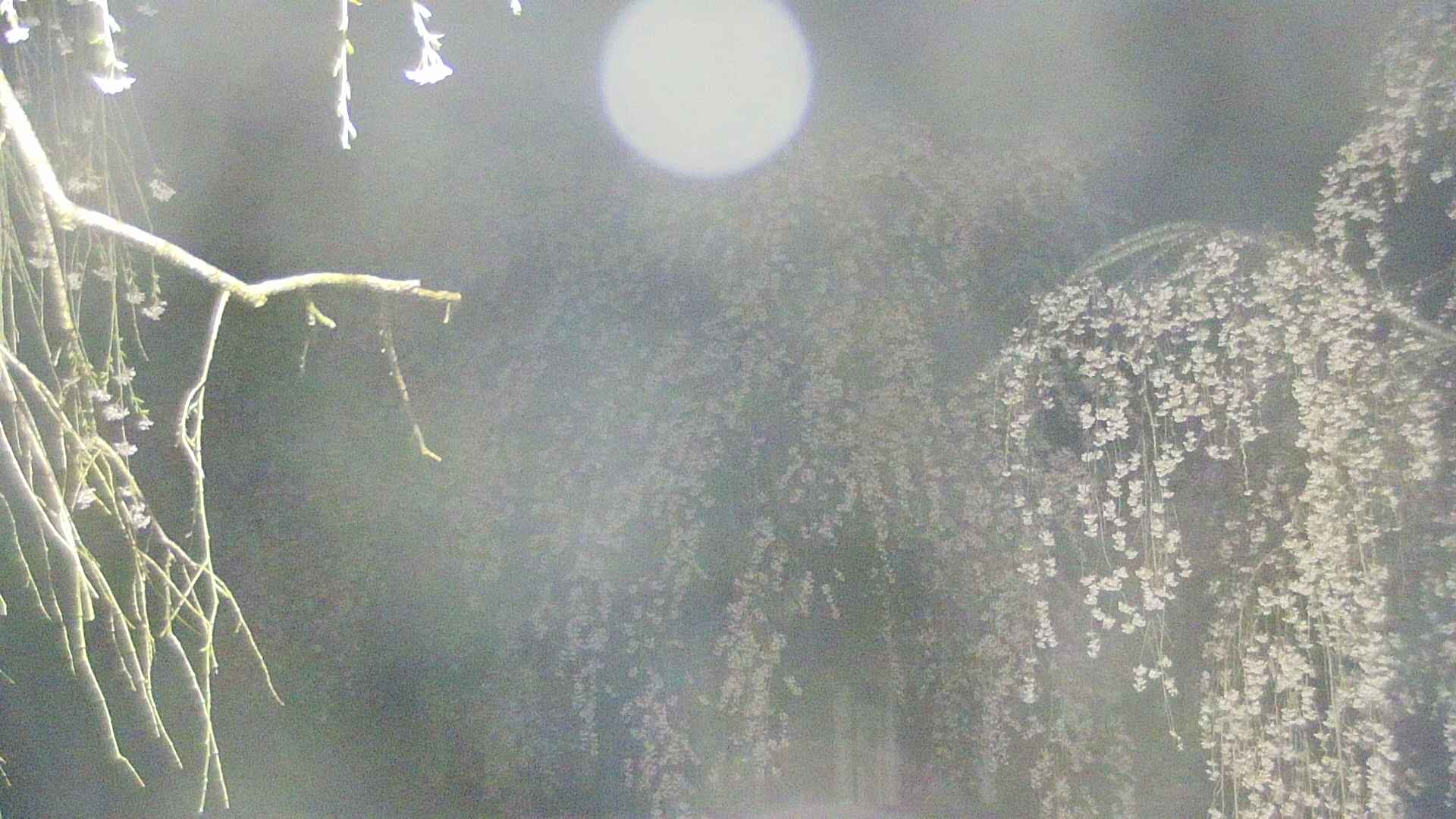 area2-20250425022106.jpg