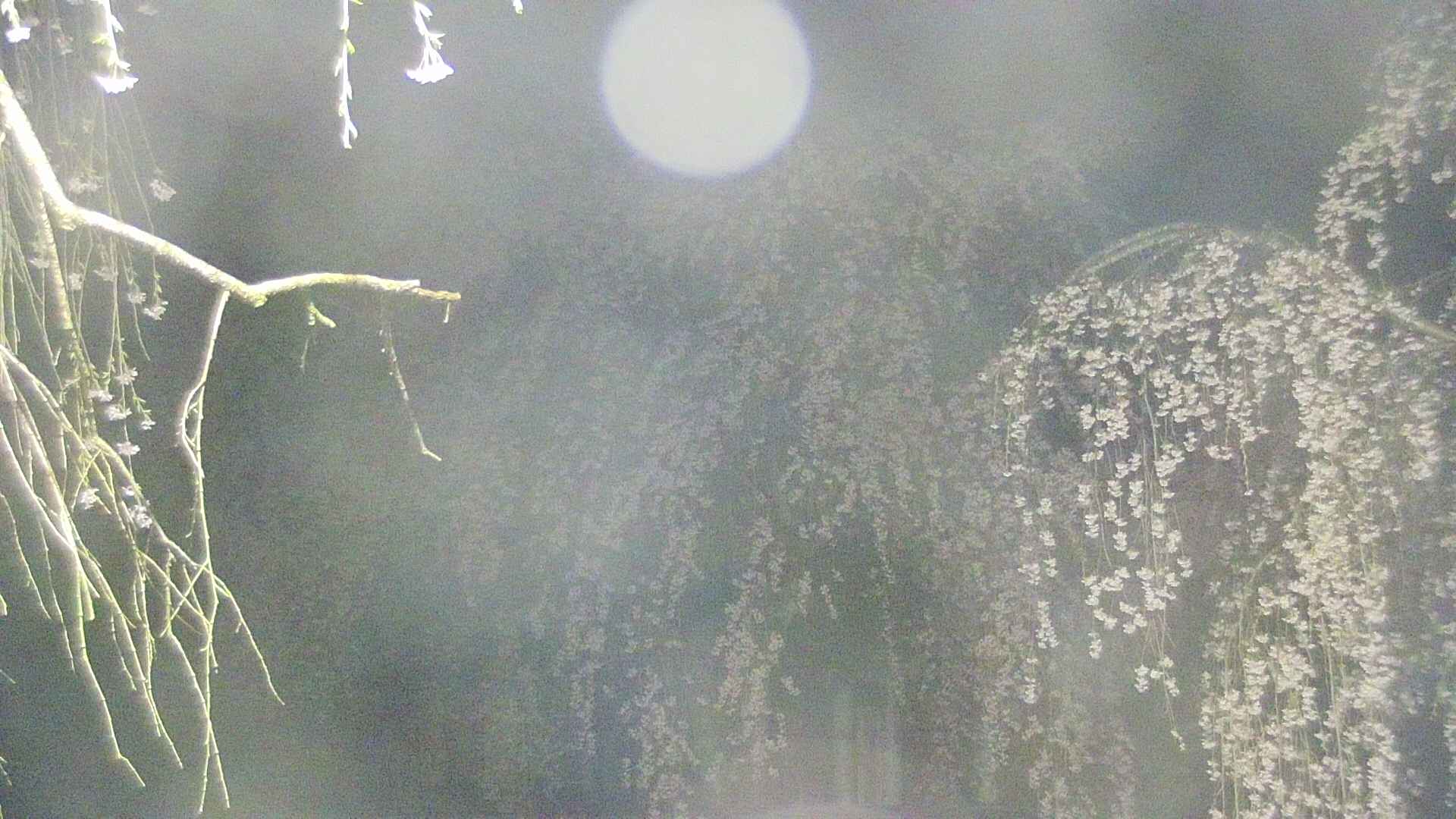 area2-20250425030105.jpg