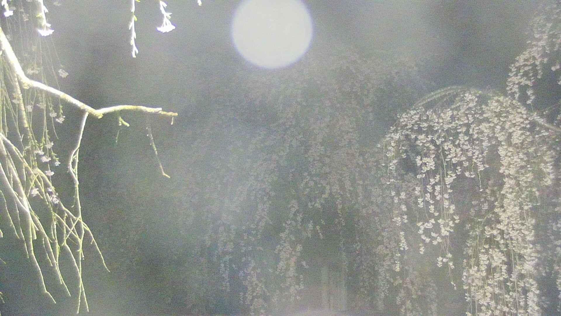 area2-20250425031105.jpg