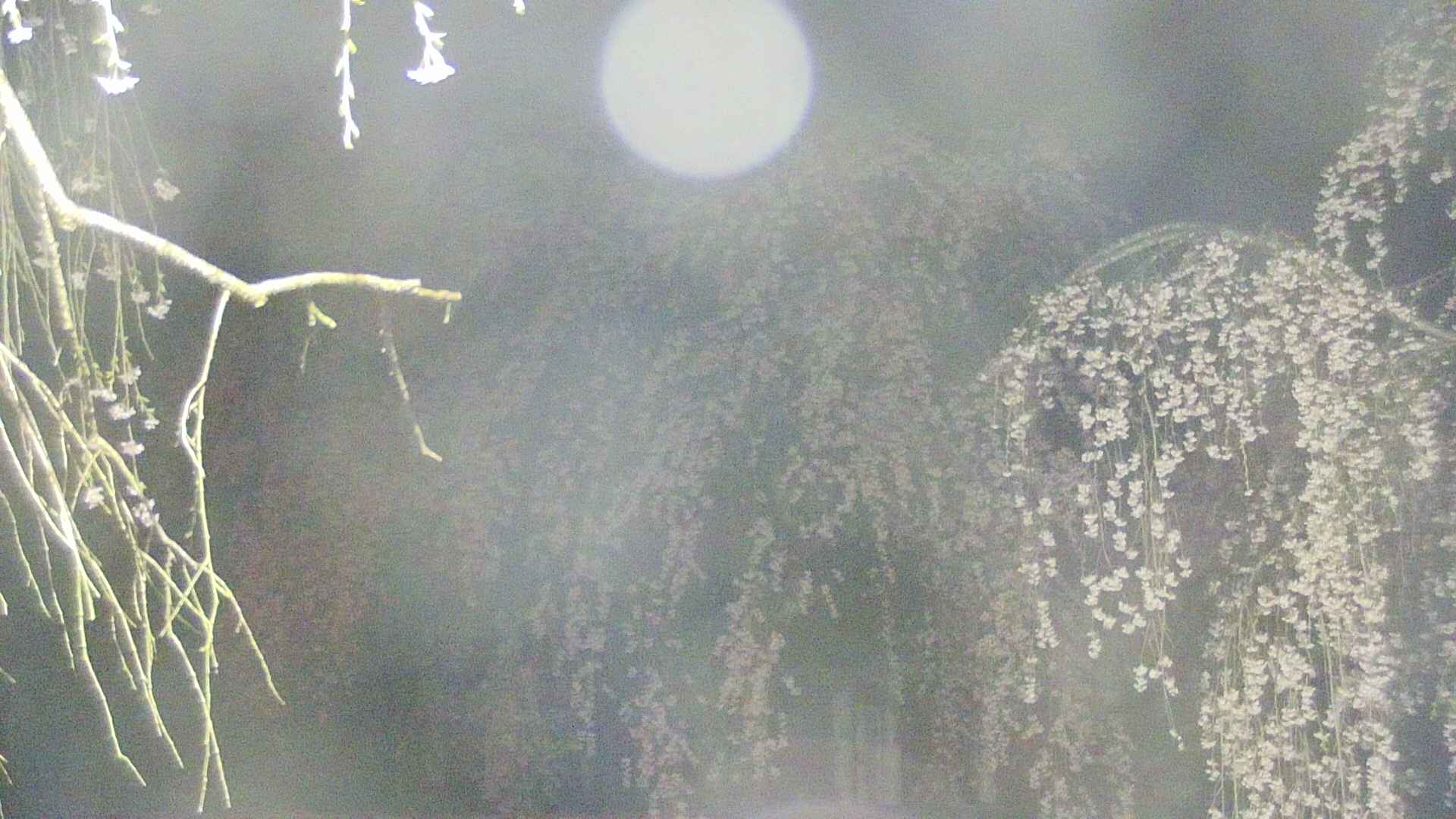area2-20250425034105.jpg