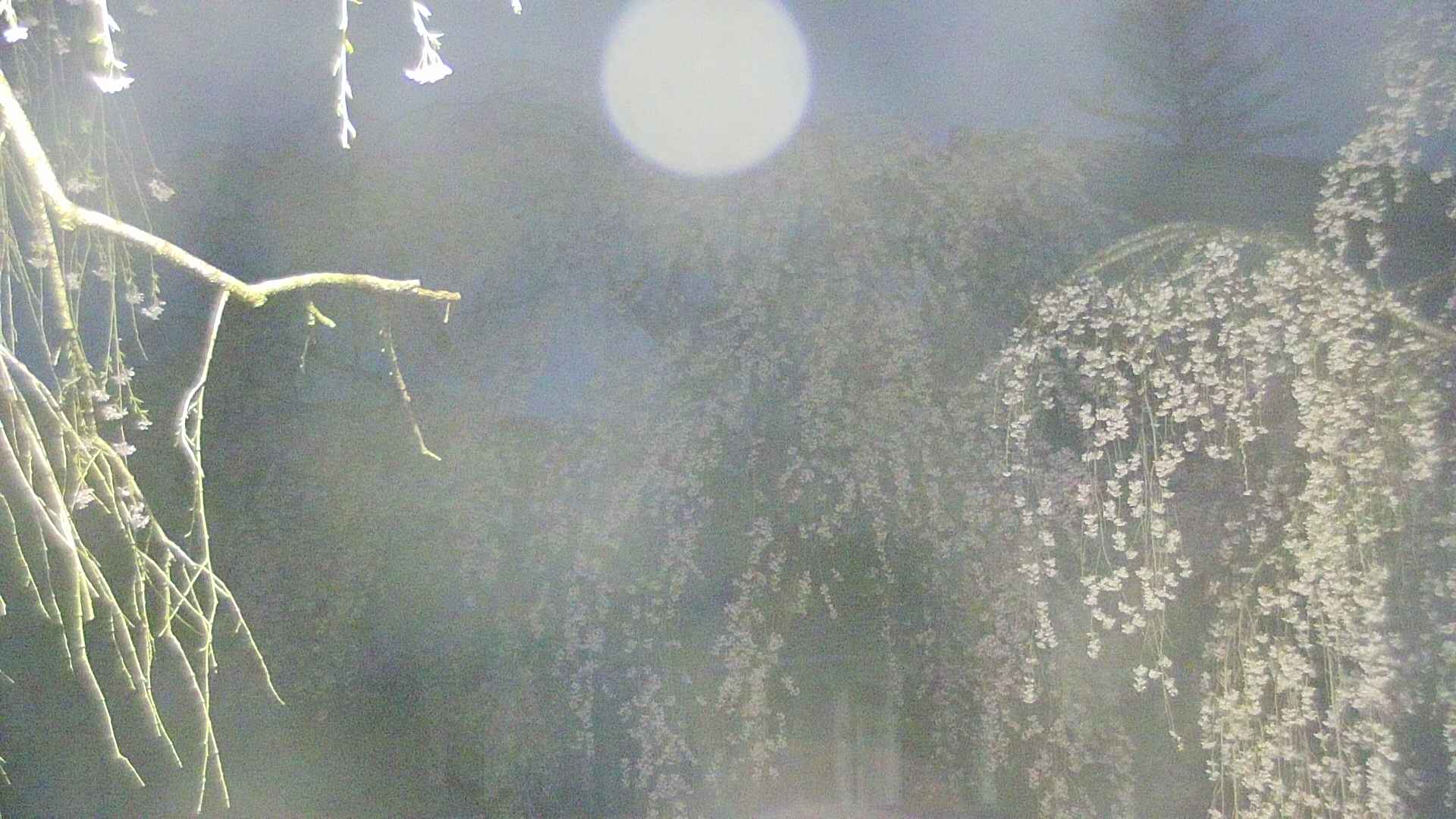 area2-20250425041105.jpg