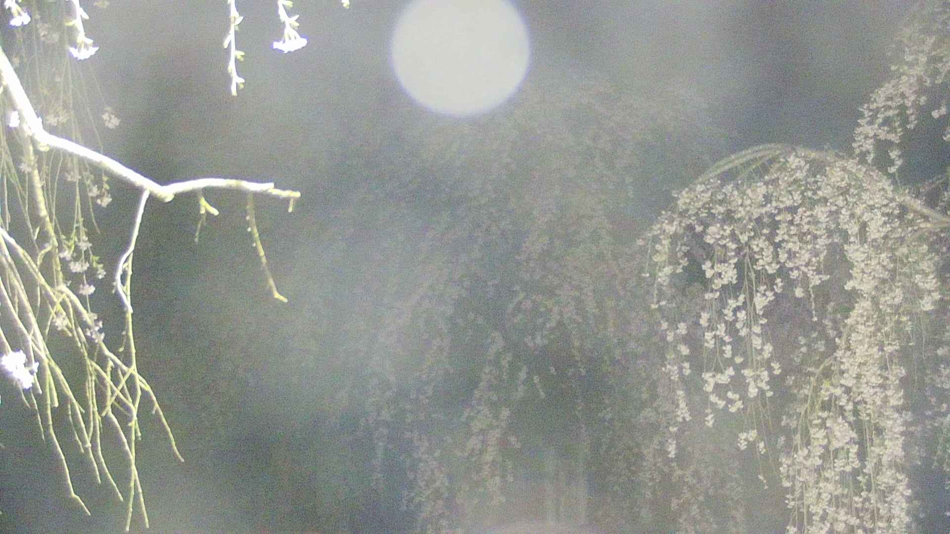 area2-20250426021106.jpg