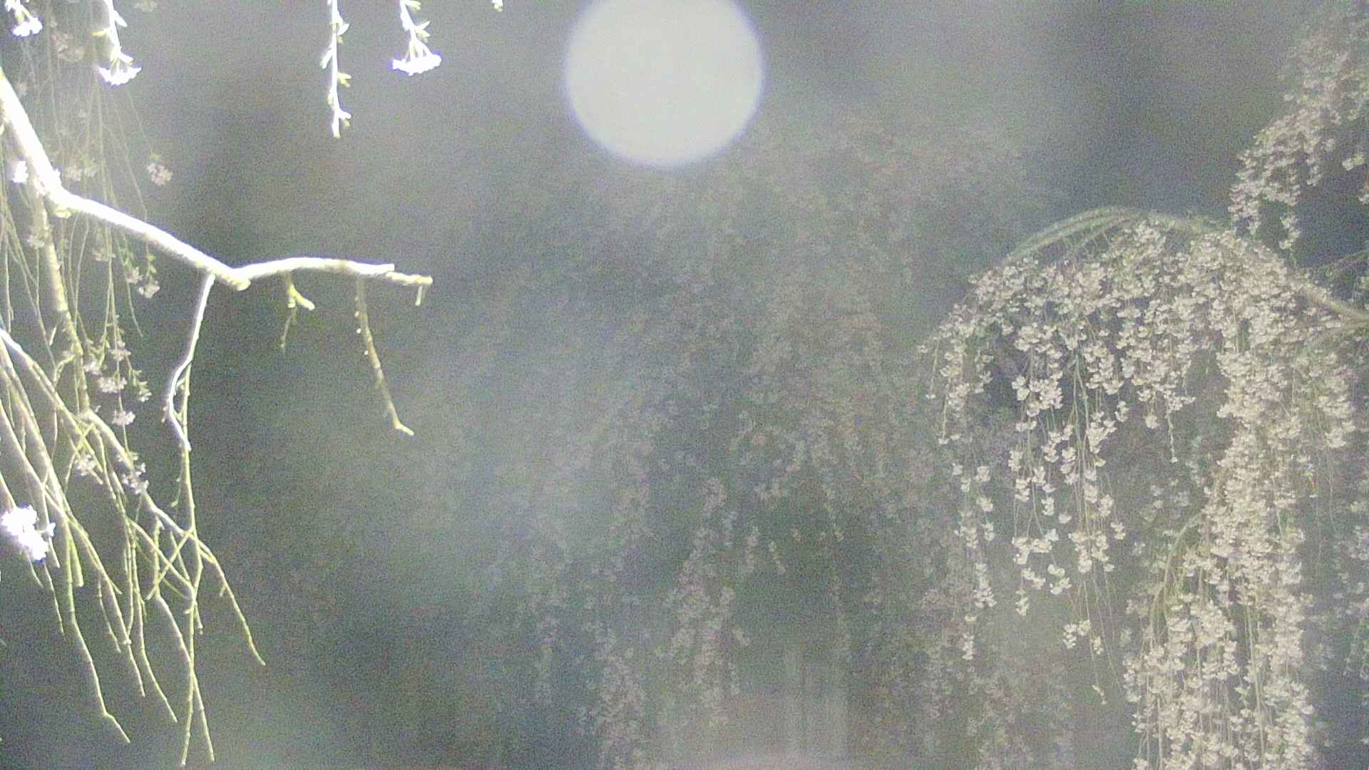 area2-20250426030106.jpg