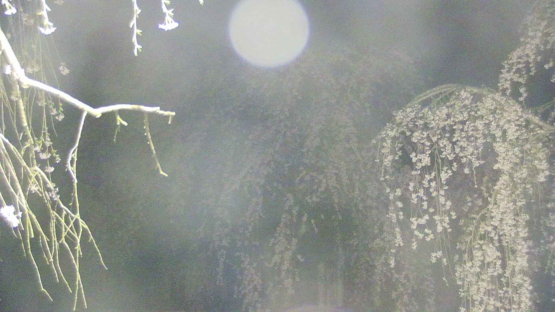 area2-20250426031105.jpg