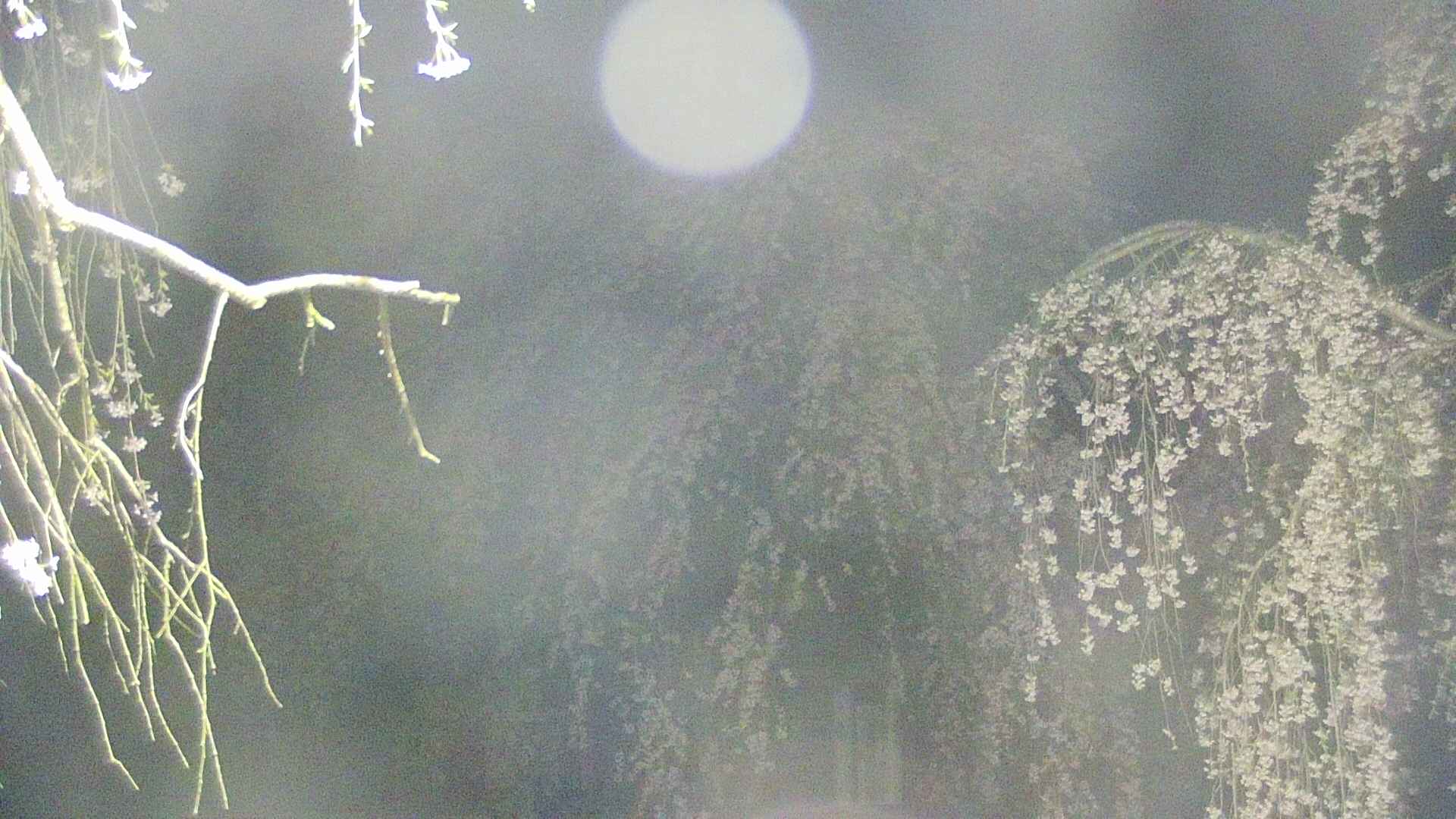 area2-20250426035106.jpg