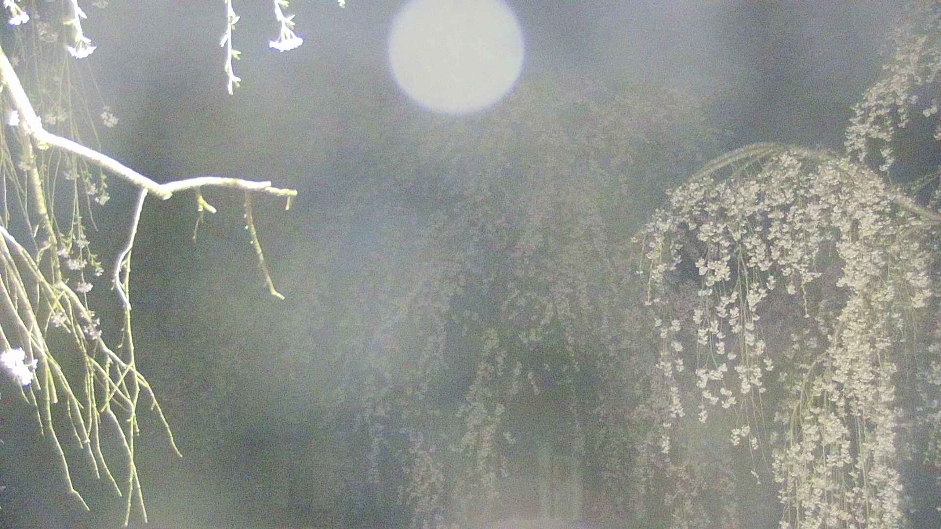 area2-20250426040105.jpg