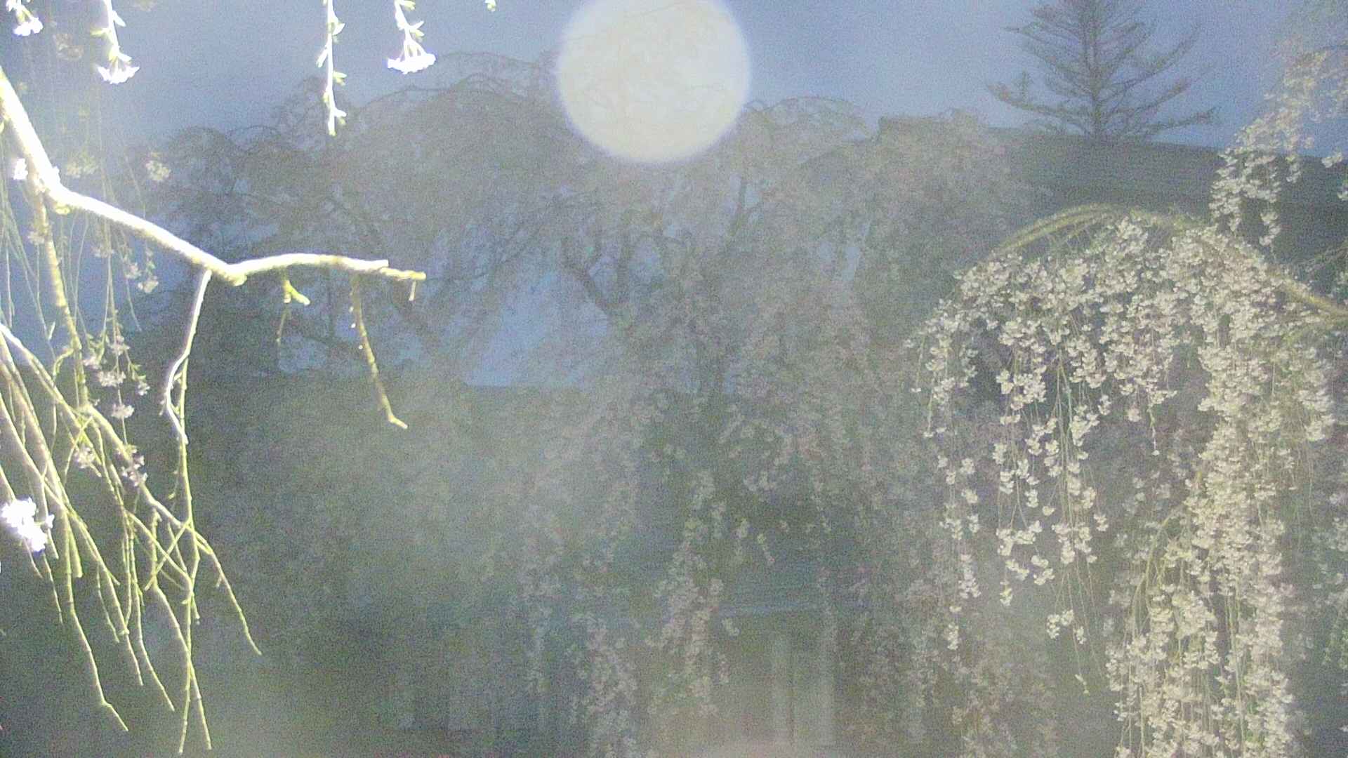 area2-20250426041106.jpg