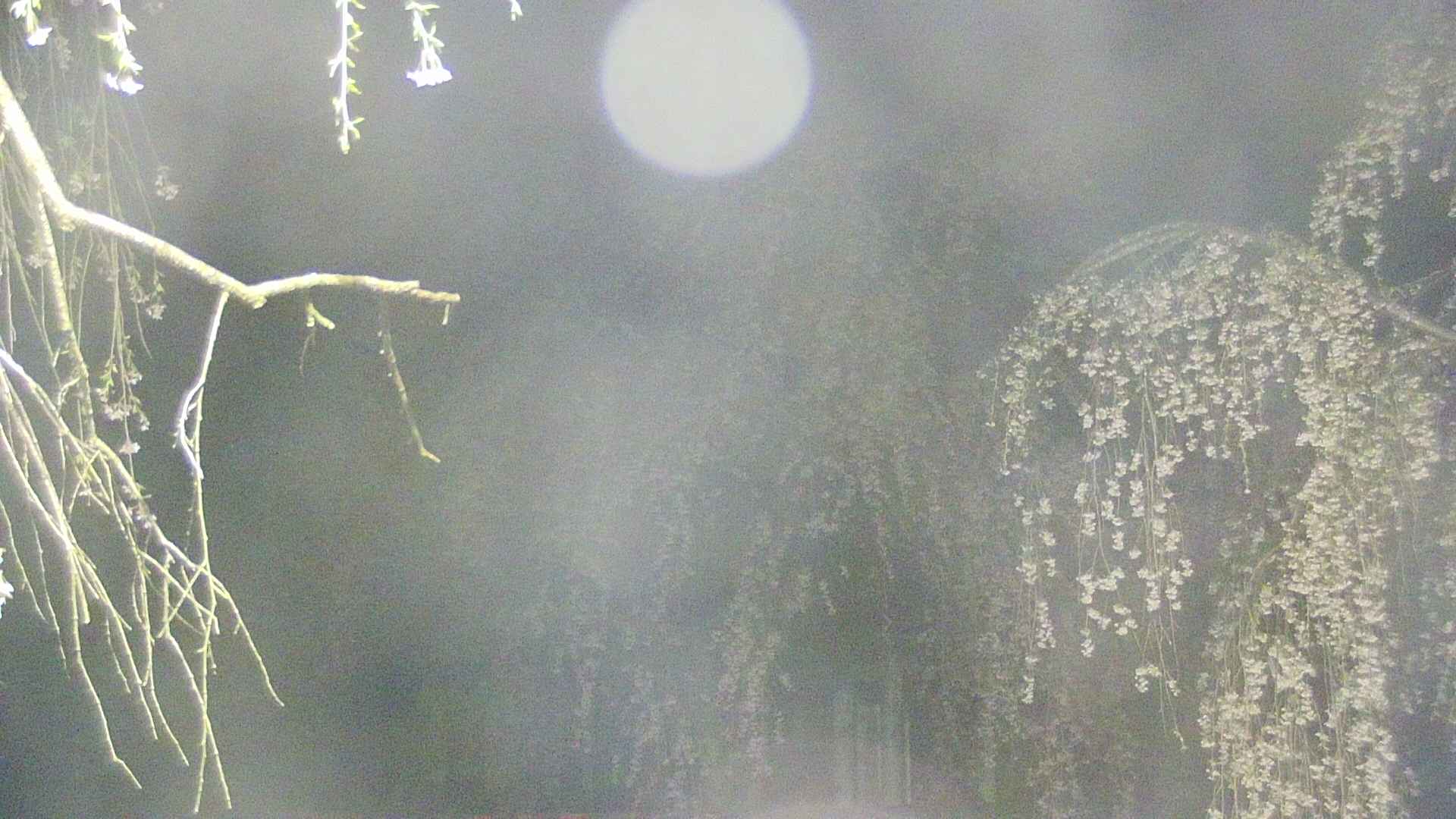 area2-20250427015106.jpg