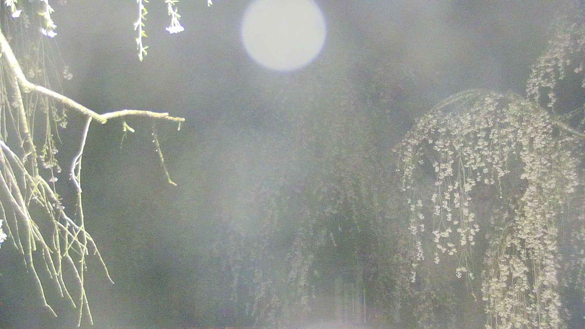 area2-20250427022106.jpg