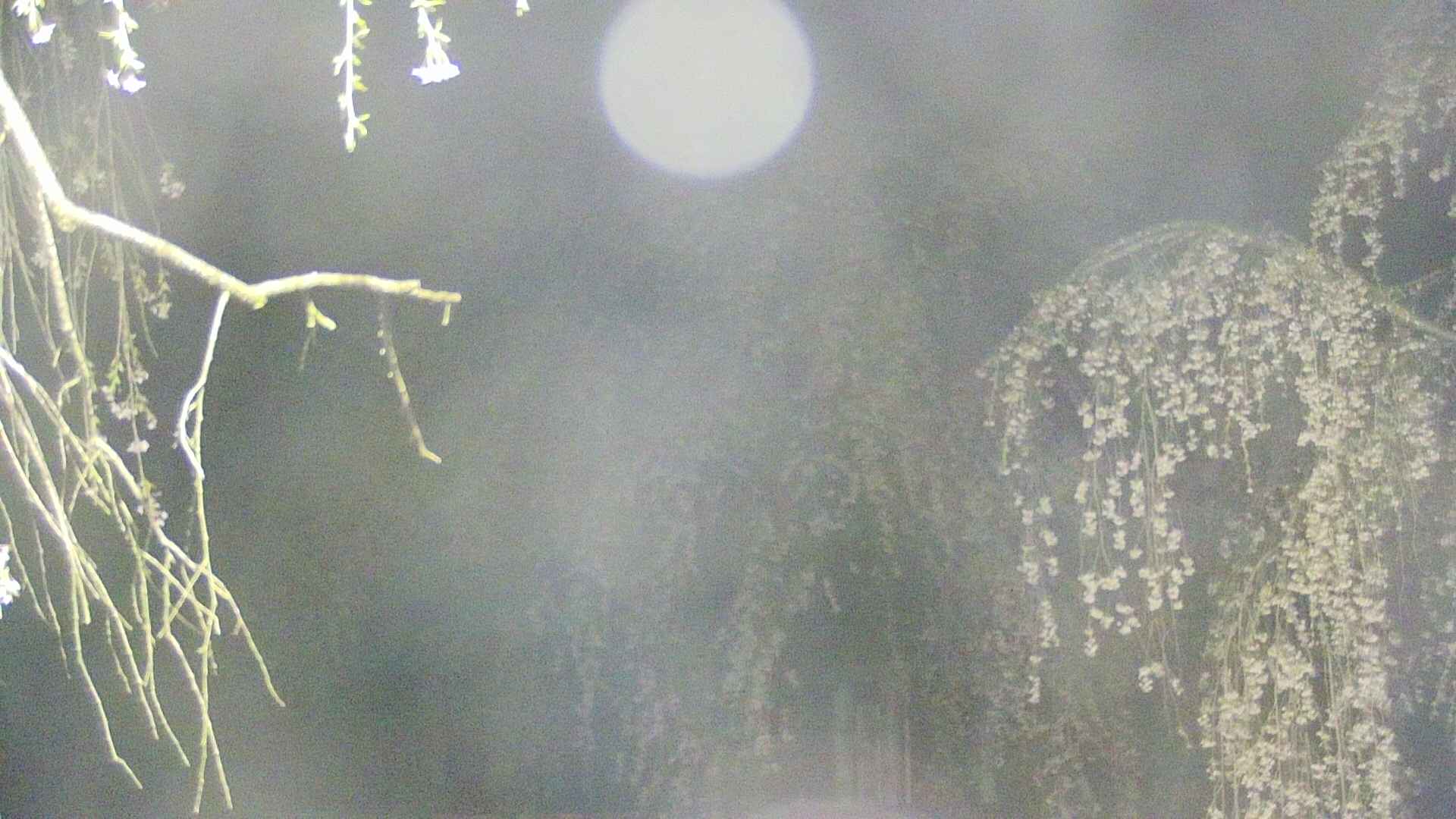 area2-20250427030106.jpg