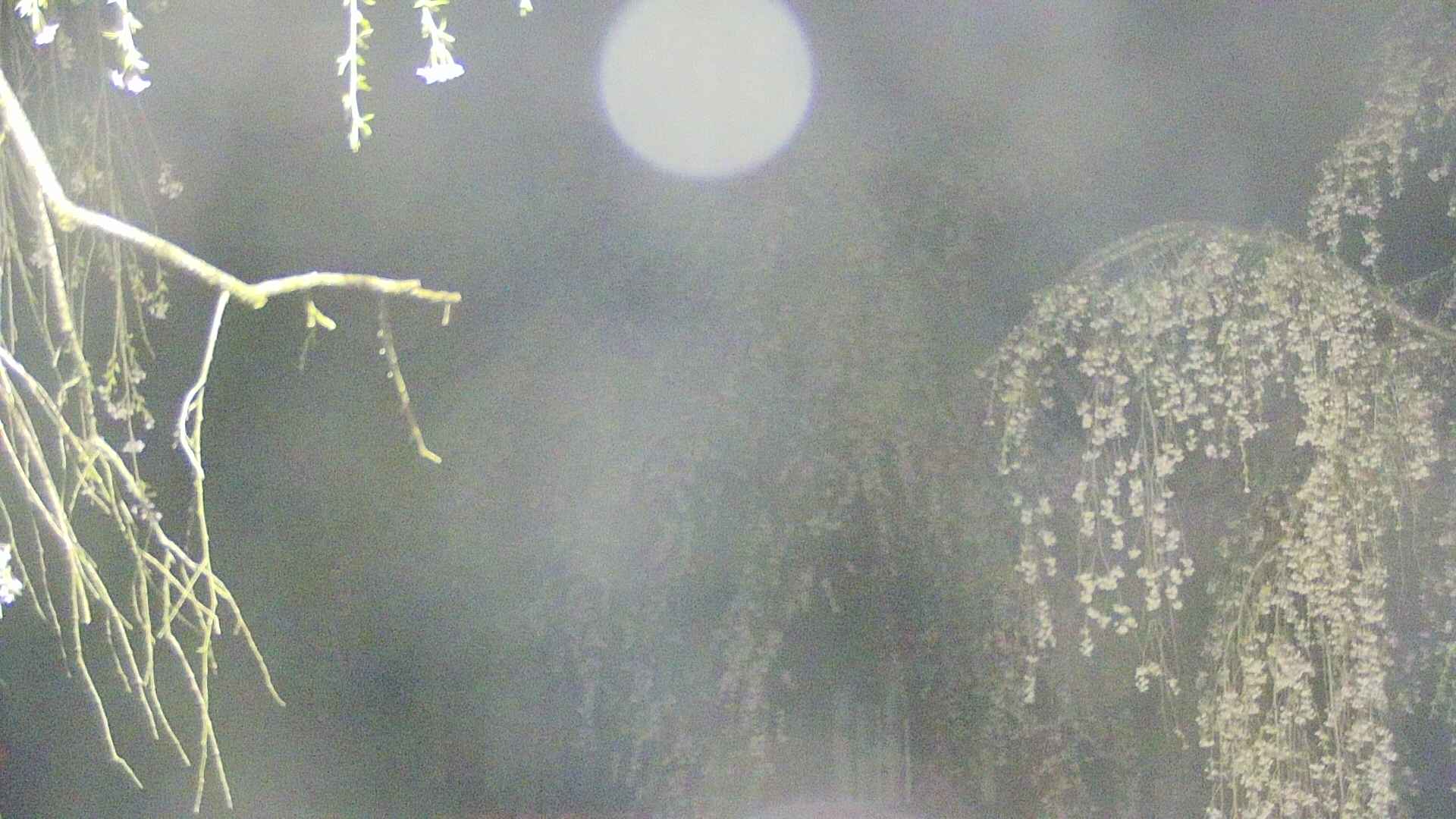 area2-20250427031106.jpg