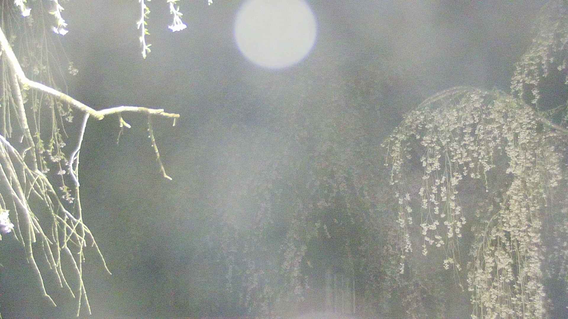 area2-20250427032107.jpg