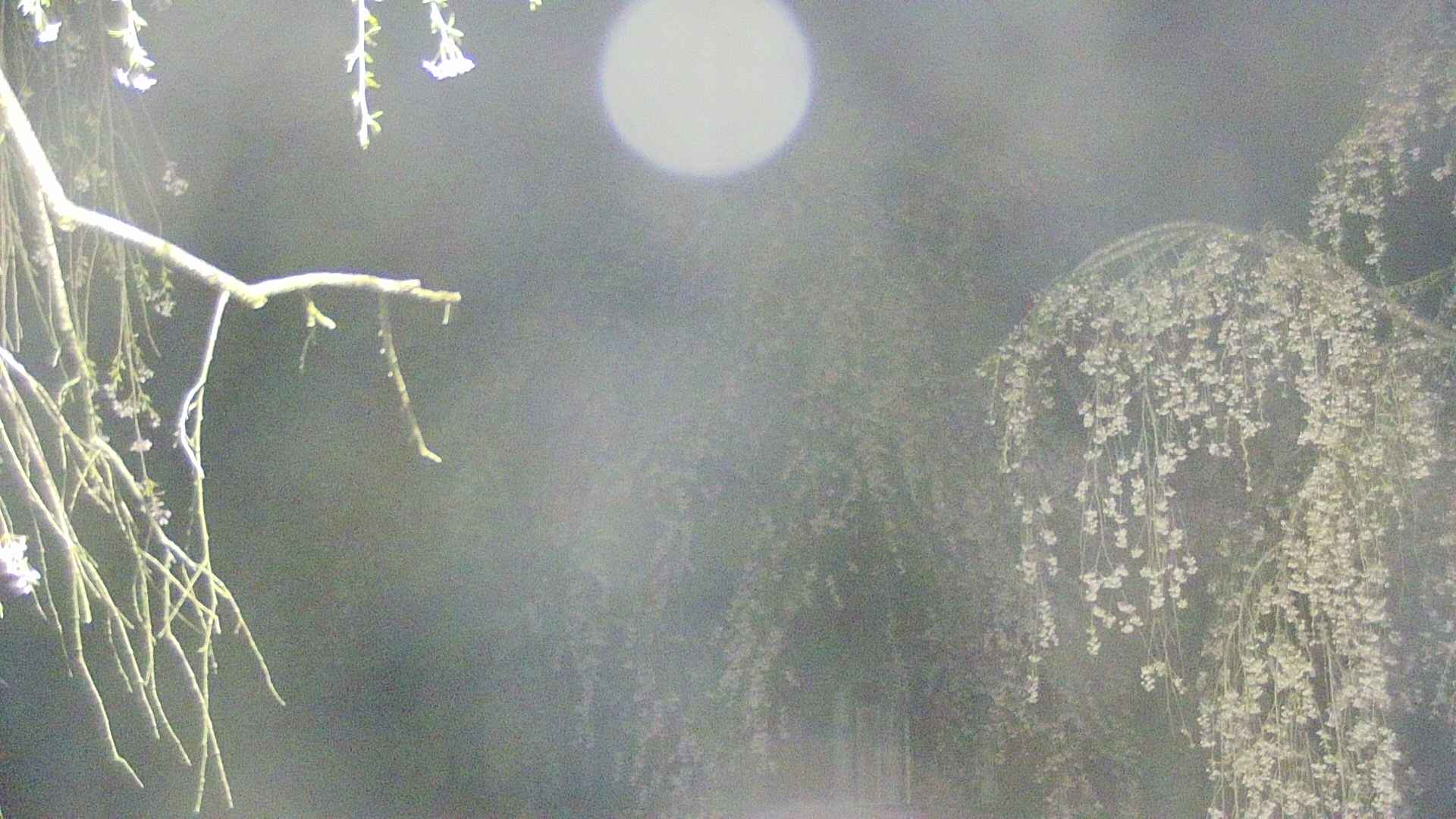 area2-20250427035106.jpg