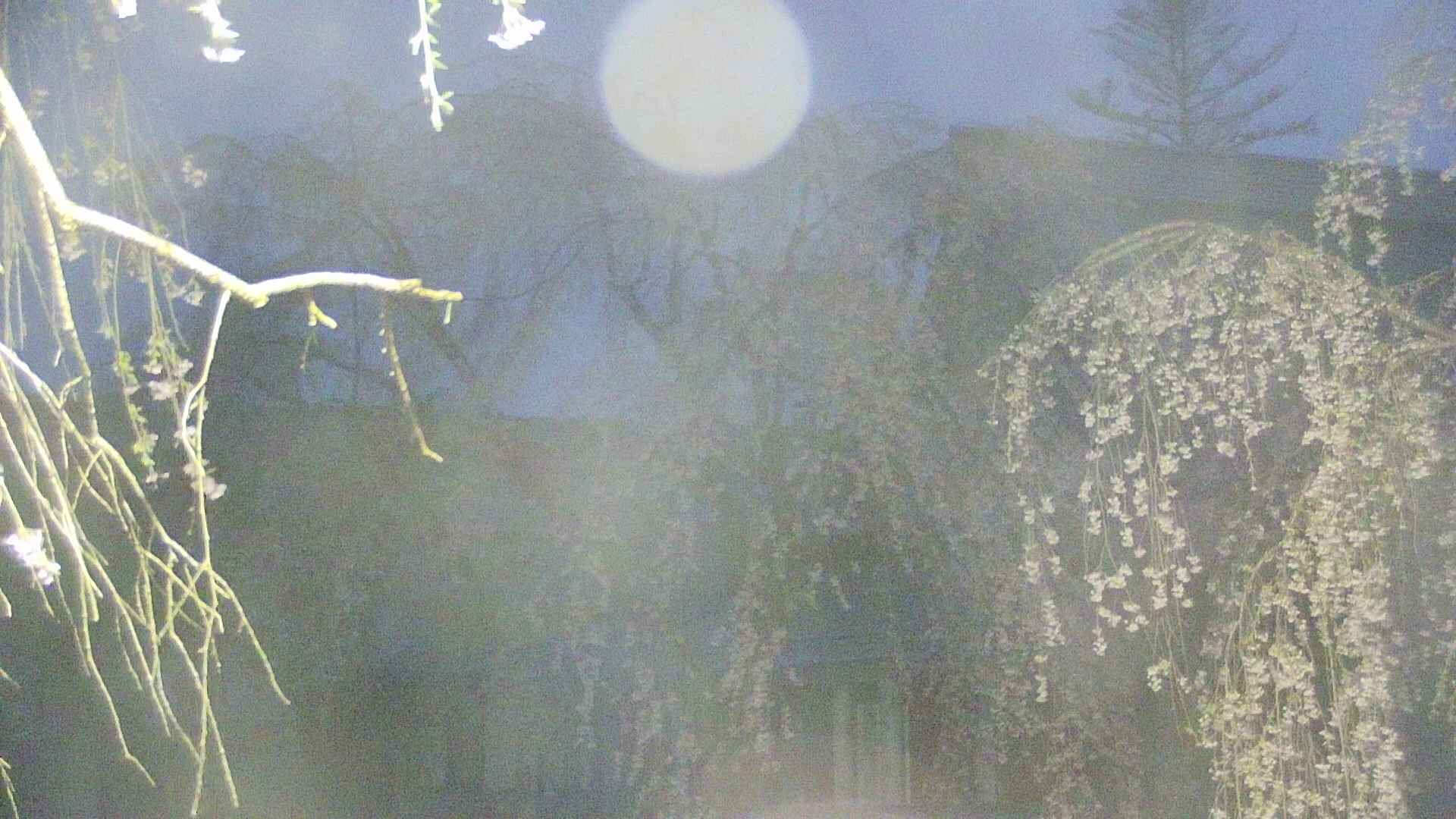 area2-20250427041105.jpg
