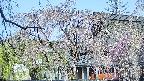 area2-20250427075106.jpg
