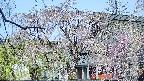 area2-20250427081106.jpg