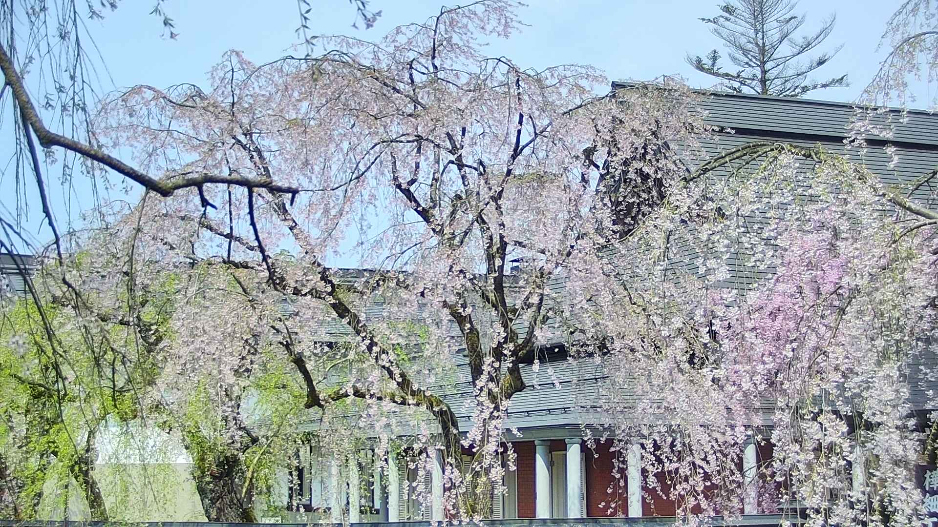 area2-20250427092106.jpg
