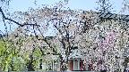 area2-20250427120107.jpg