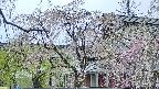 area2-20250427151106.jpg