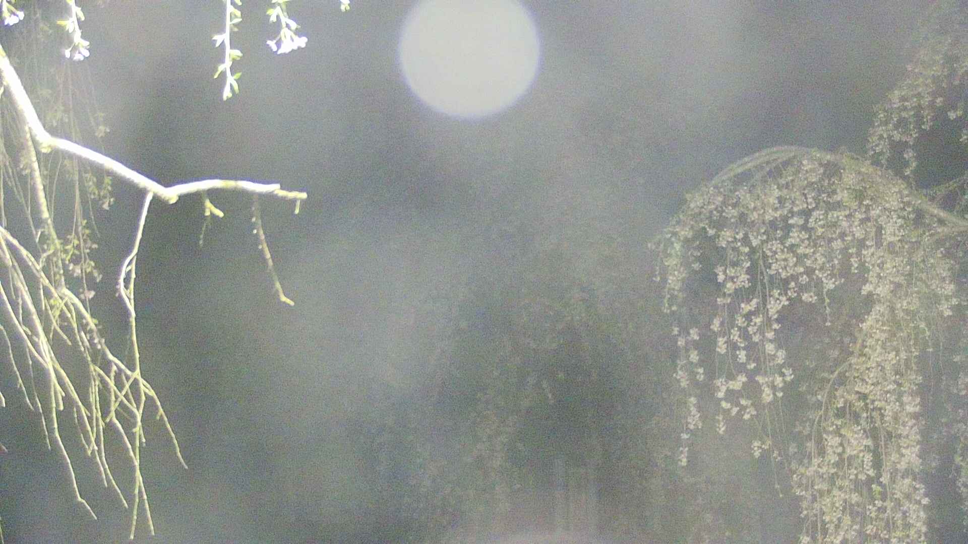 area2-20250428015106.jpg