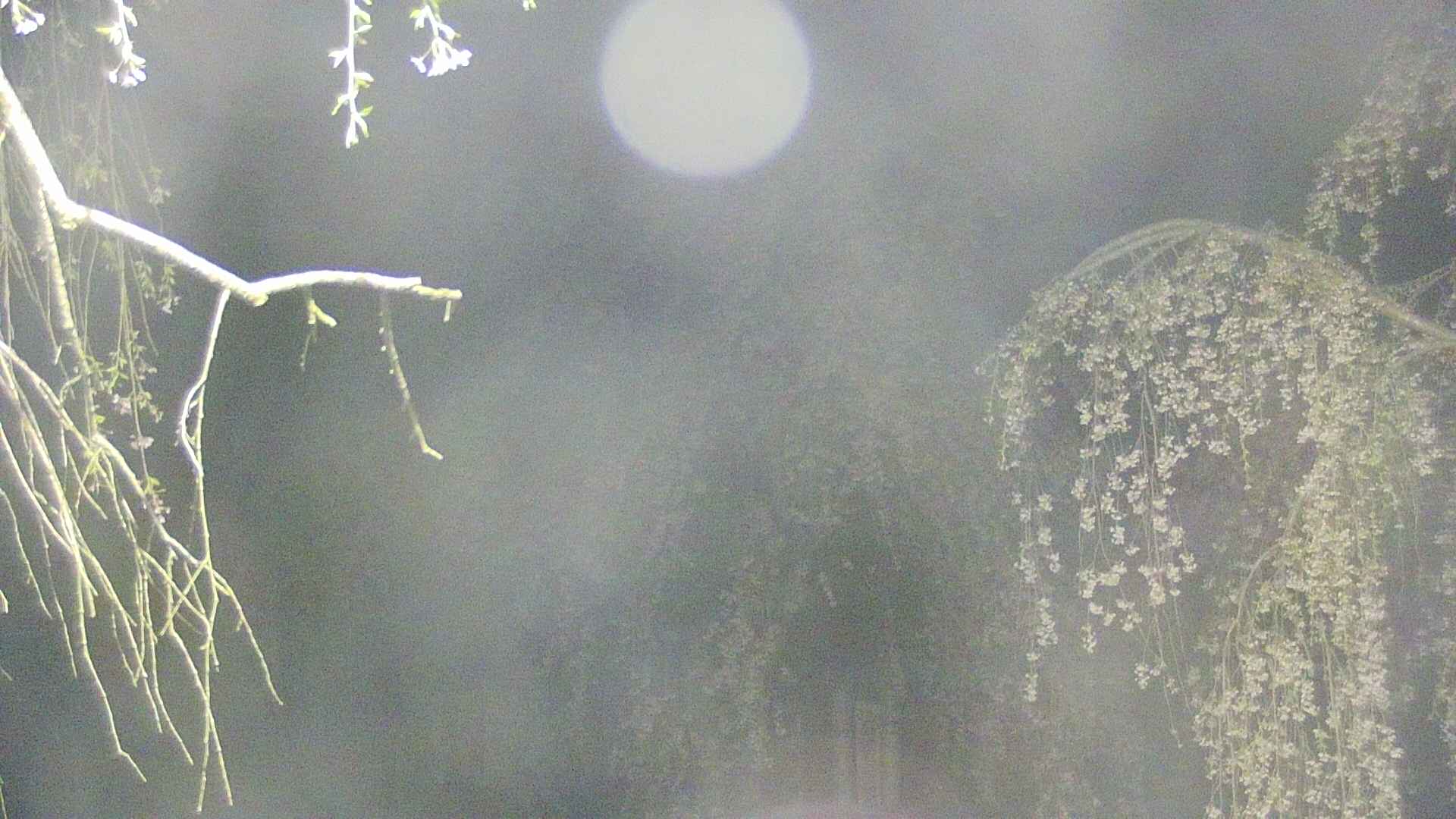area2-20250428021106.jpg