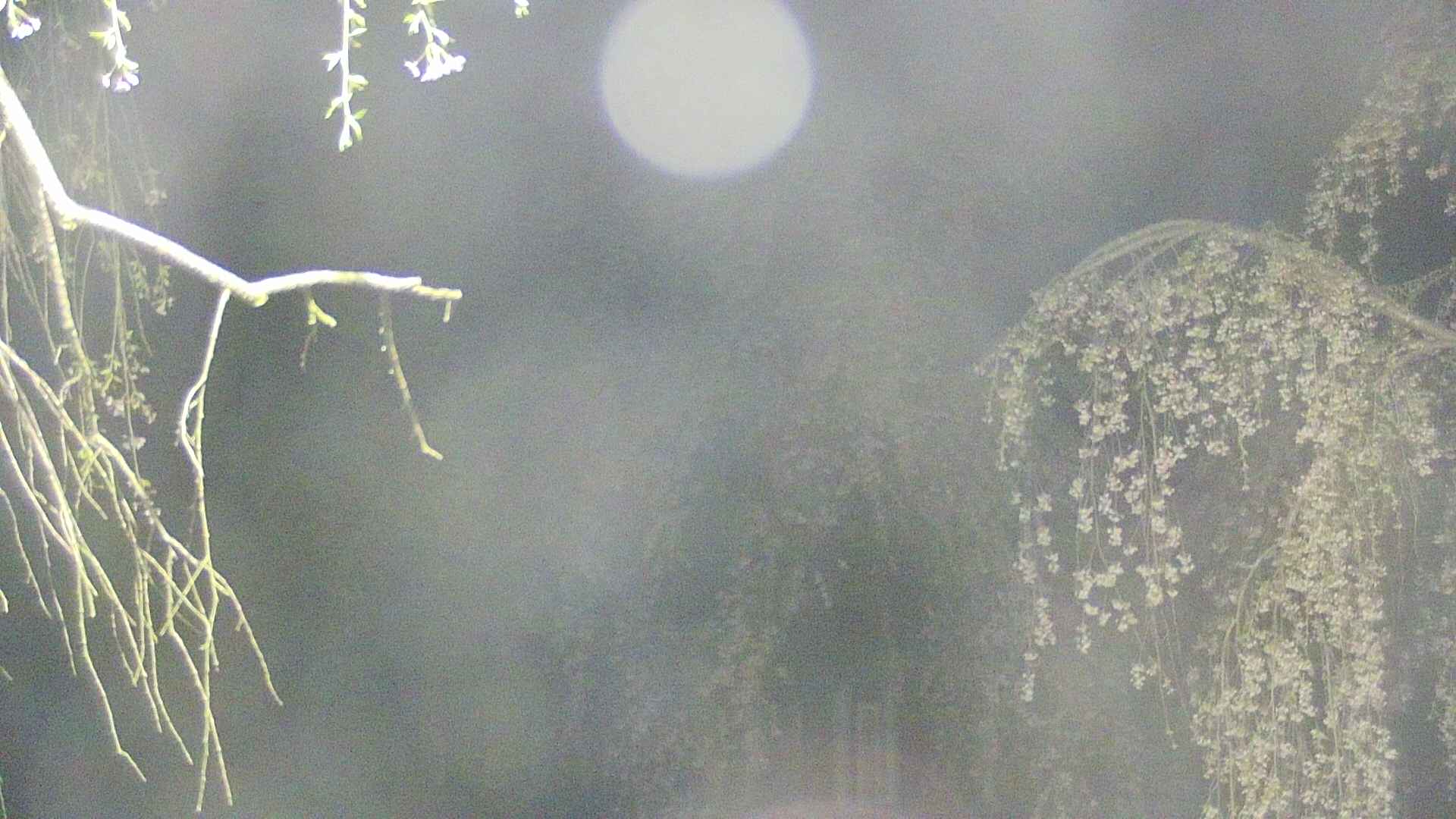 area2-20250428022106.jpg