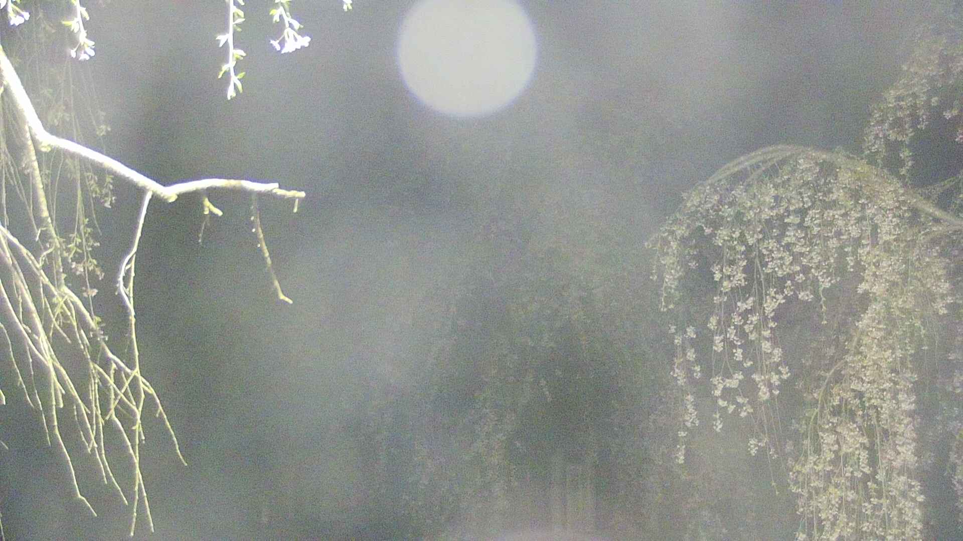 area2-20250428024105.jpg