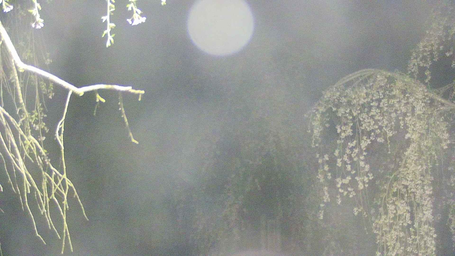 area2-20250428025106.jpg