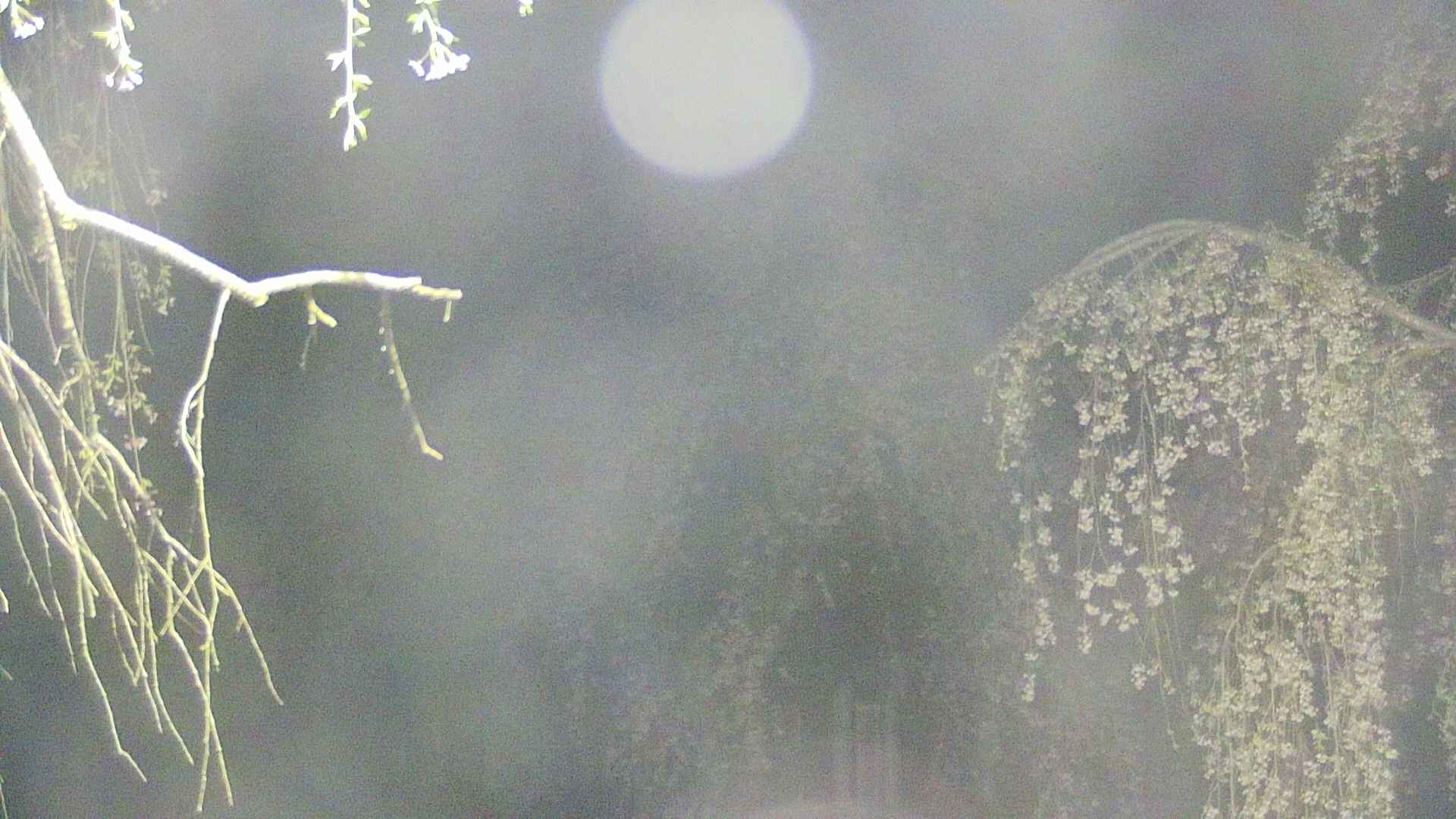 area2-20250428030104.jpg