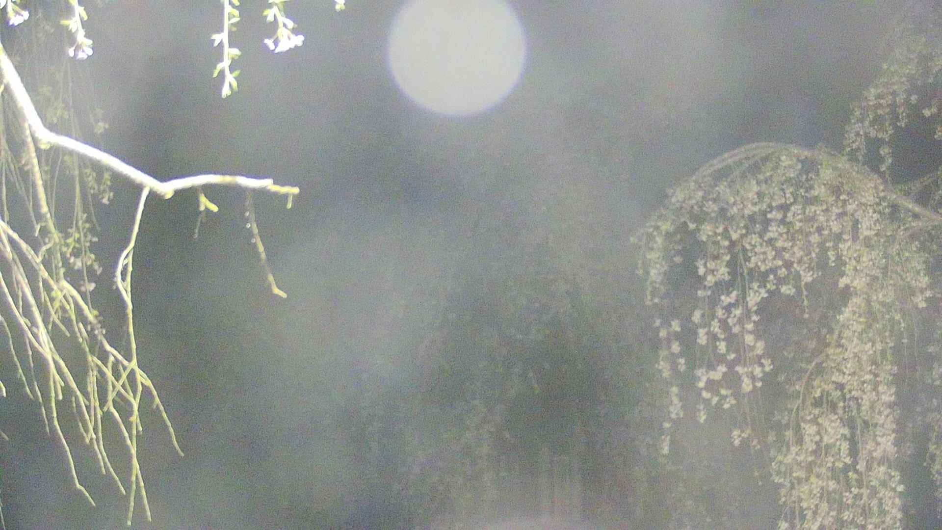 area2-20250428033106.jpg
