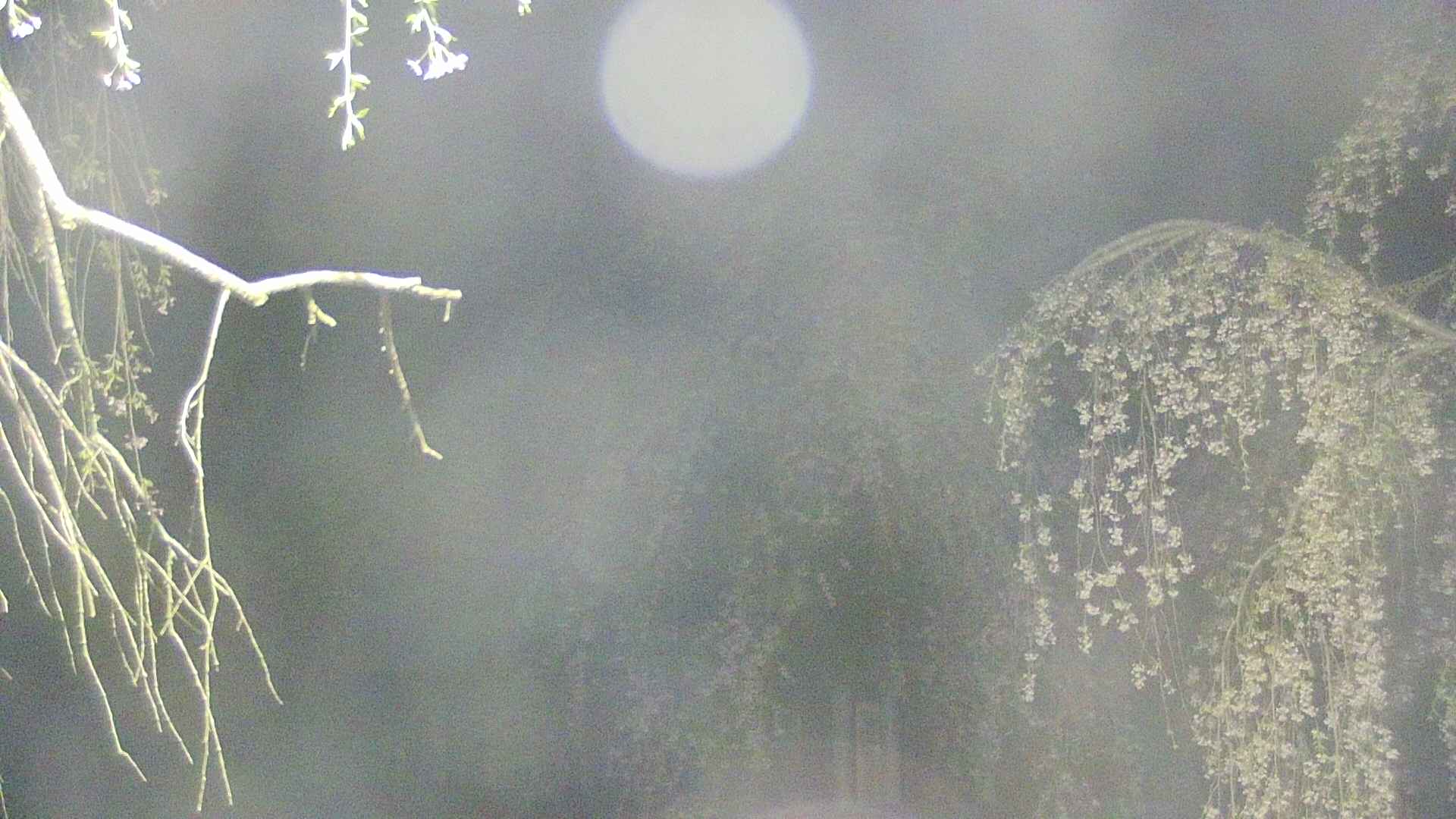 area2-20250428034106.jpg