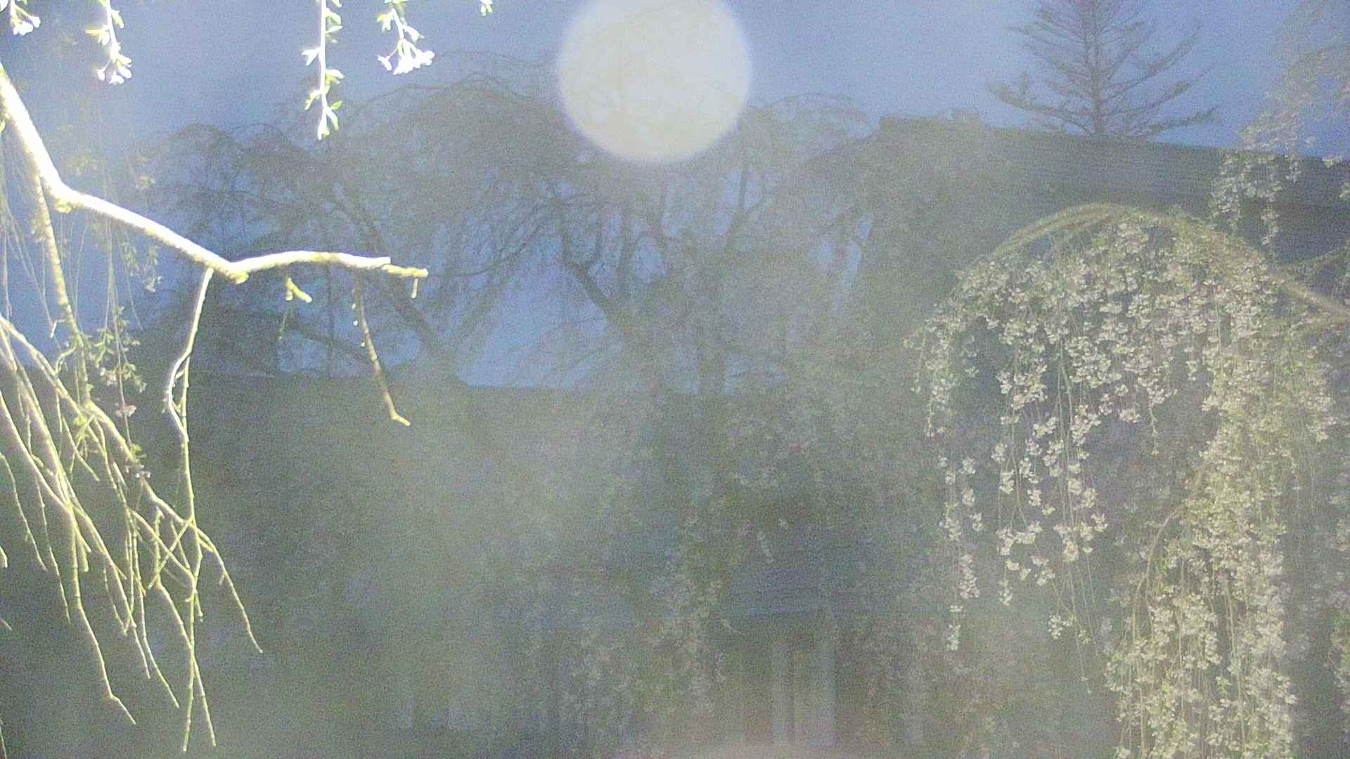 area2-20250428041106.jpg