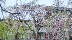 area2-20250428074106.jpg