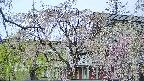area2-20250428075106.jpg