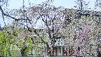 area2-20250428080107.jpg