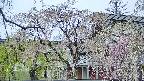 area2-20250428113106.jpg