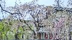 area2-20250428120107.jpg
