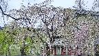 area2-20250428170106.jpg