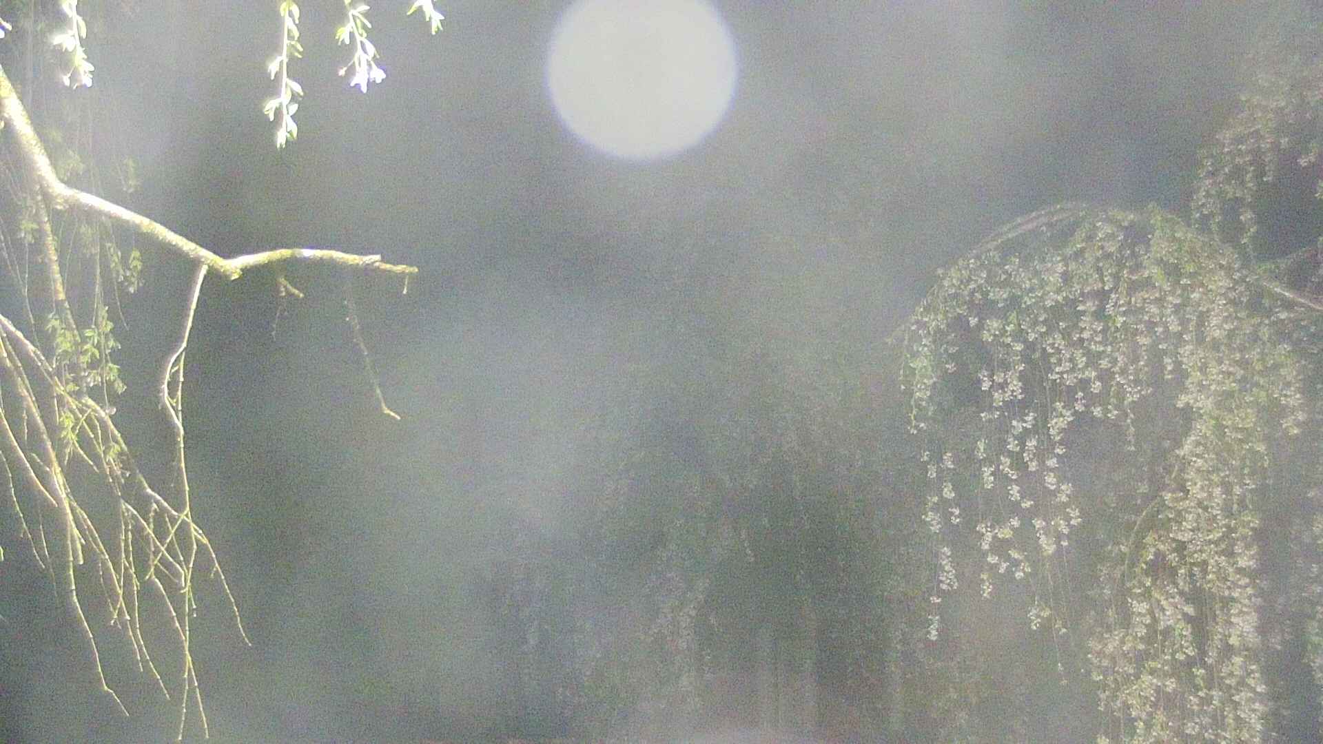 area2-20250429021106.jpg