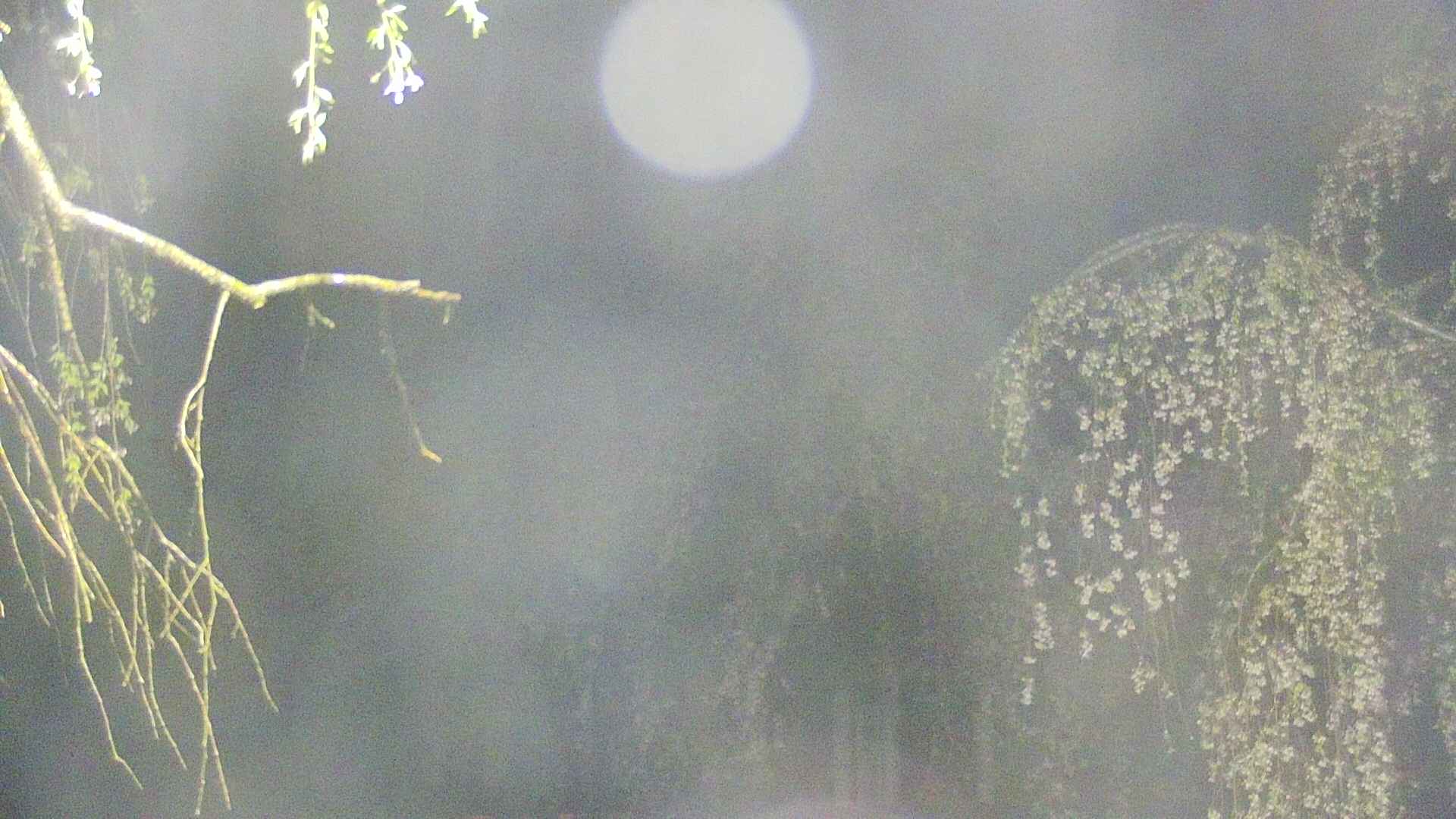 area2-20250429025105.jpg