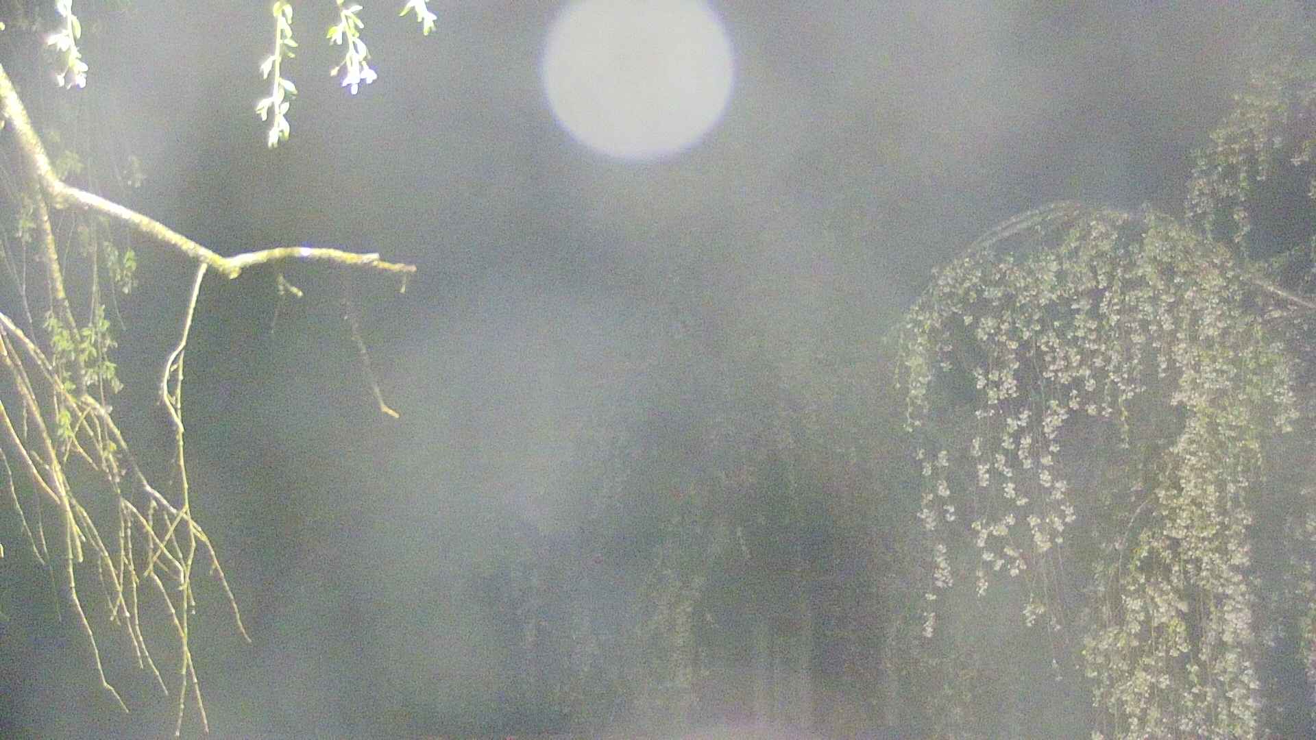 area2-20250429031106.jpg